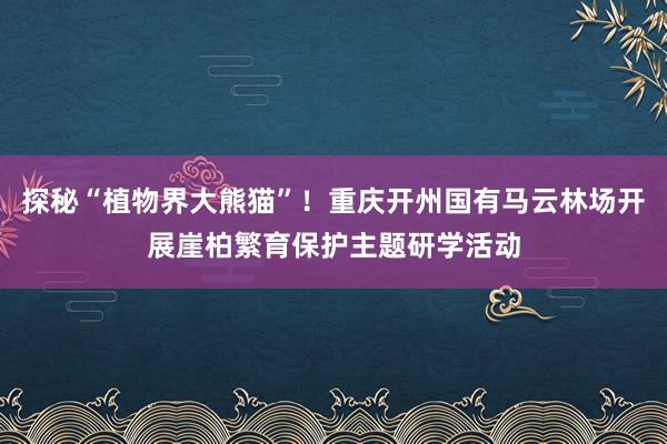 探秘“植物界大熊猫”!重庆开州国有马云林场开展崖柏繁育保护主题研学活动